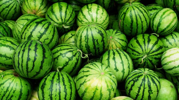Is it possible to eat watermelon with gastritis with high acidity: arguments for and against and rules of consumption