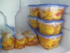 The best ways to store fresh and processed peaches