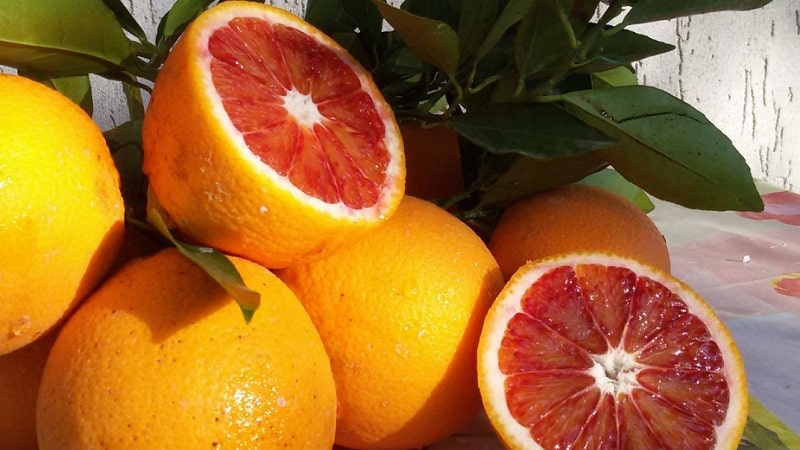 What is the name of a red orange?
