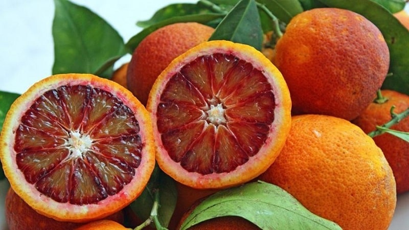 What is the name of a red orange?