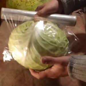 Features of storing cabbage in cling film in the cellar