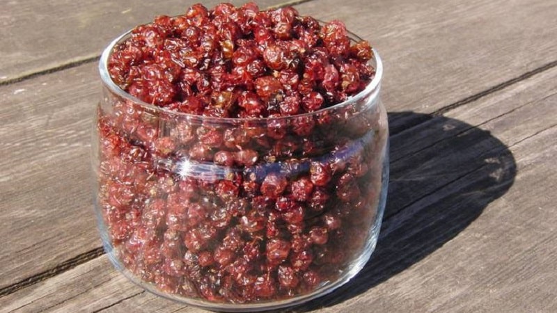 Step-by-step instructions on how to dry gooseberries in an electric dryer and how to store and use ready-made berries
