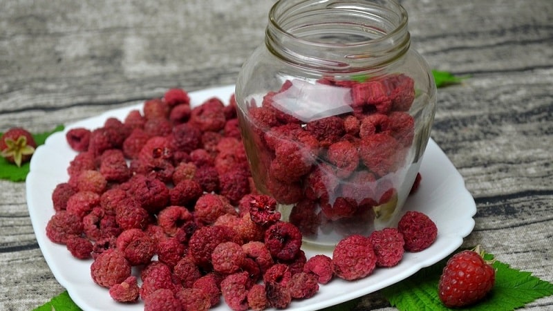 How long and how to dry raspberries in an electric dryer correctly
