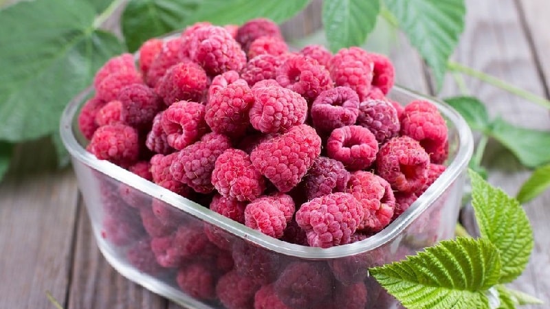 How long and how to dry raspberries in an electric dryer correctly