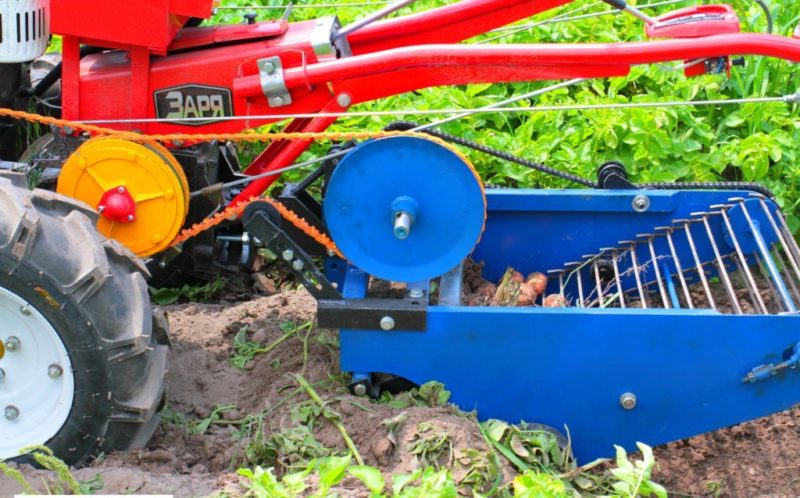 Conveyor potato digger for walk-behind tractor: review of the best models and instructions on how to make it yourself