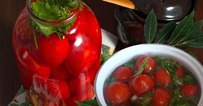 How to cook pickled tomatoes at home: top 10 best recipes and recommendations from experienced housewives