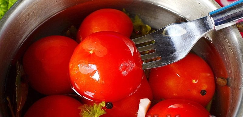 How to cook pickled tomatoes at home: top 10 best recipes and recommendations from experienced housewives