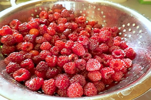 Finding out whether you need to wash raspberries before freezing and preparing the berries correctly