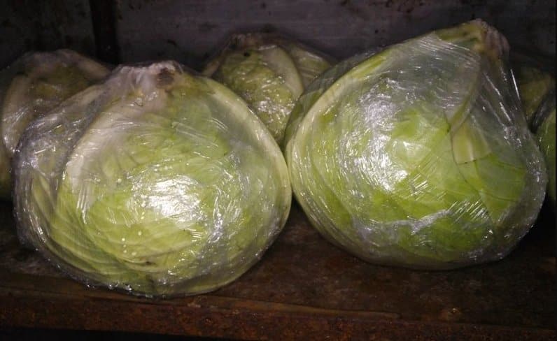 Features of storing cabbage in cling film in the cellar