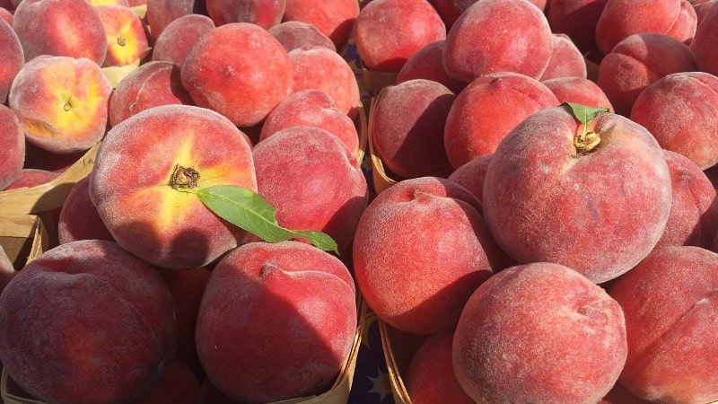 The best ways to store fresh and processed peaches