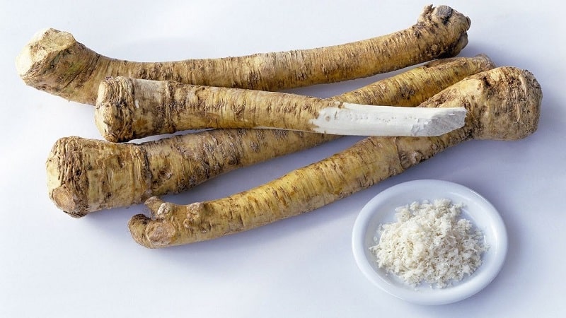 A selection of ways to store horseradish at home