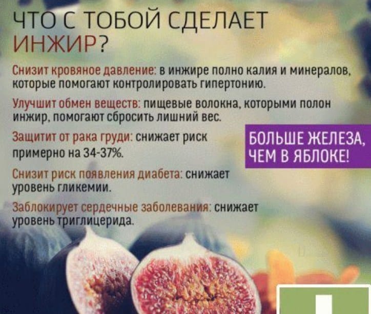 Beneficial properties of figs for women and rules for their use