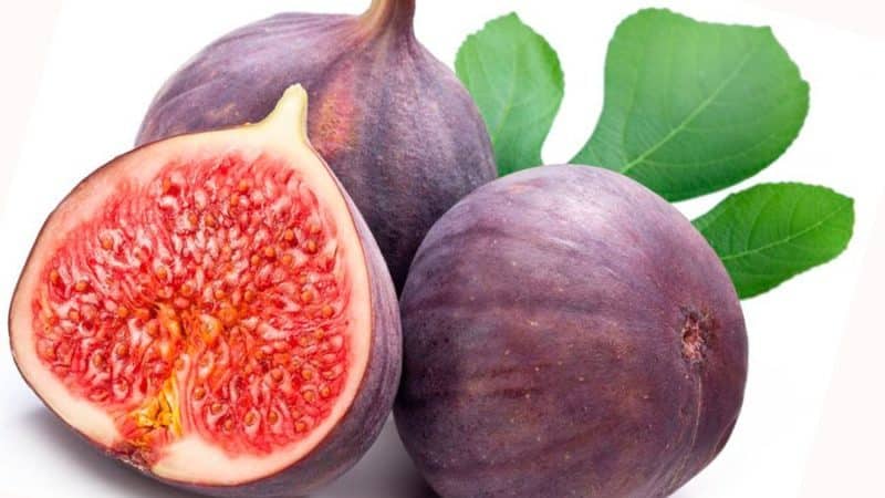 Beneficial properties of figs for women and rules for their use