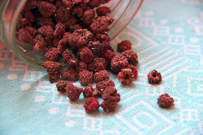 How long and how to dry raspberries in the oven and other electrical appliances correctly