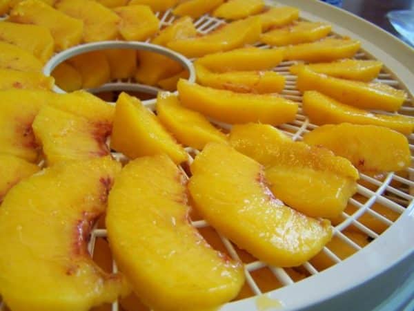 The best ways to store fresh and processed peaches