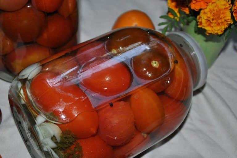 How to cook pickled tomatoes at home: top 10 best recipes and recommendations from experienced housewives