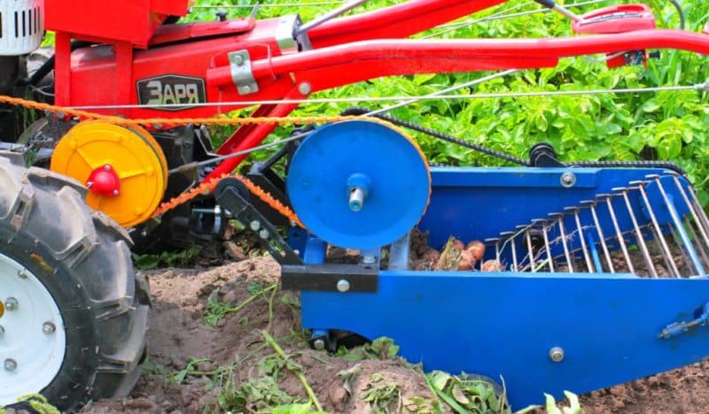 What kind of potato diggers are there for the Neva walk-behind tractor and how to make one yourself