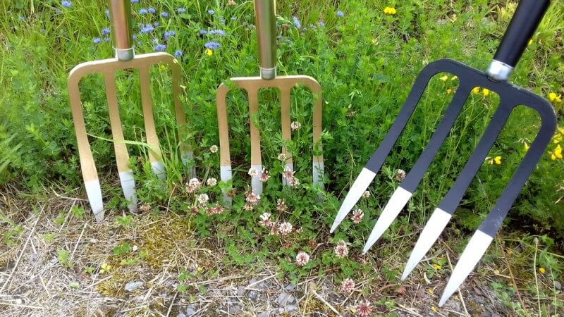 Why are pitchforks good for digging potatoes and how to make them yourself