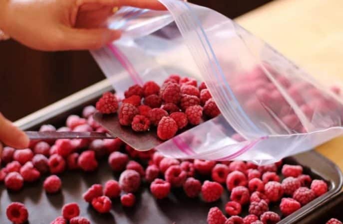 Finding out whether you need to wash raspberries before freezing and preparing the berries correctly