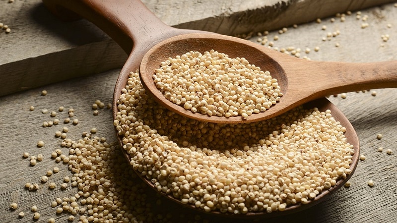 What is sorghum grain and how to prepare it