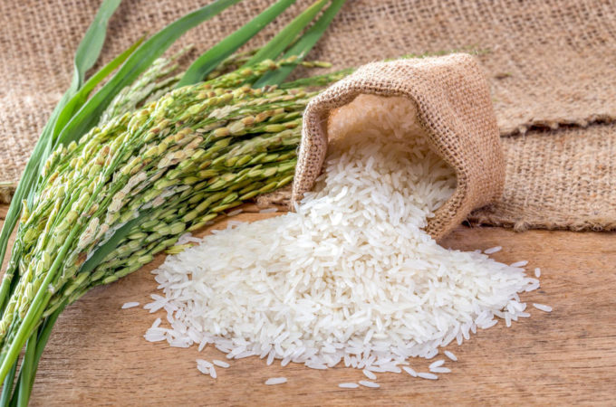 All about rice: what rice is and how it appeared, interesting facts about a plant from distant countries