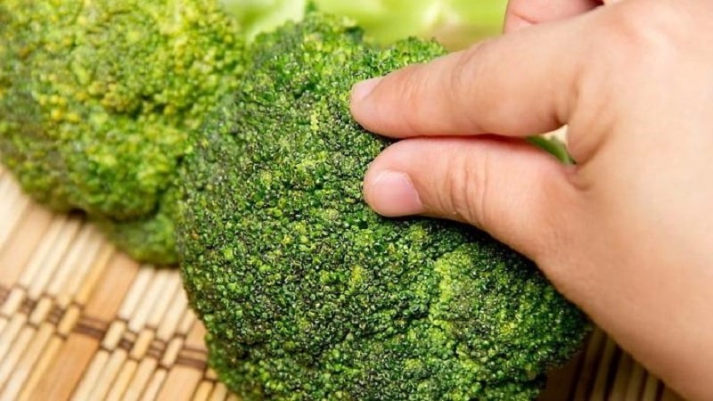 Choosing the edible parts of broccoli - is it possible to eat the stalk and stalk?