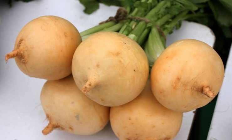 How and with what to eat turnips, and what does it taste and smell like?