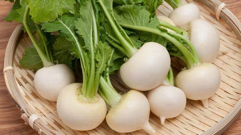 A Beginner's Farmer's Guide: When to Dig Turnips and How to Store Them Properly