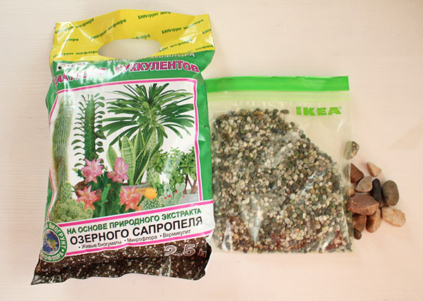 Selecting soil for mangoes at home