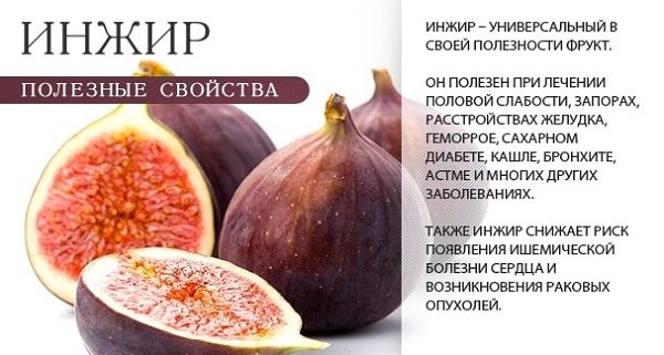 Beneficial properties of figs for women when losing weight