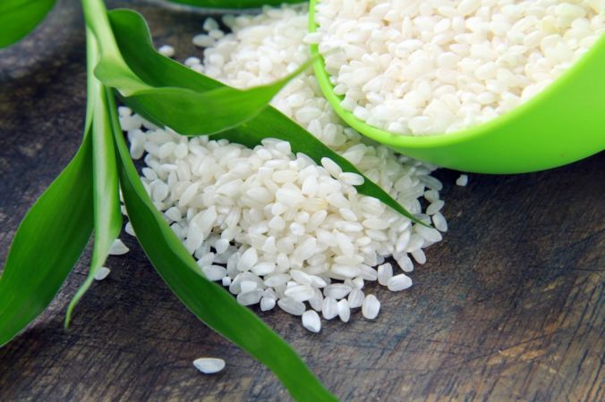 All about rice: what rice is and how it appeared, interesting facts about a plant from distant countries