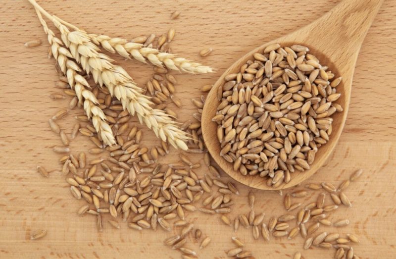 What types of wheat are there: characteristics of types and varieties