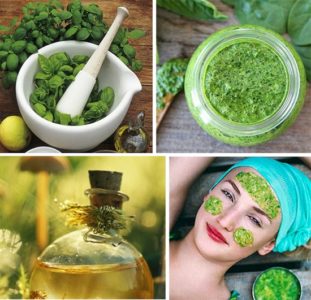 How to use basil on the face: reviews, beneficial properties, mask recipes