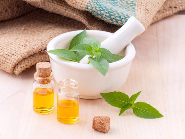 How to use basil on the face: reviews, beneficial properties, mask recipes