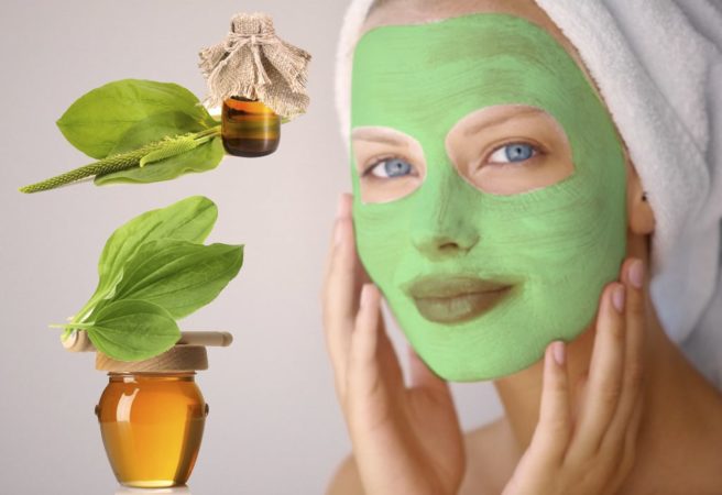 How to use basil on the face: reviews, beneficial properties, mask recipes