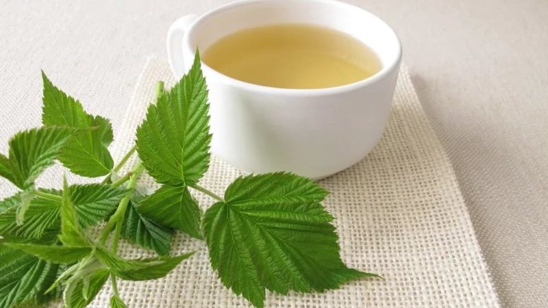 Raspberry leaf decoction is a healthy tea