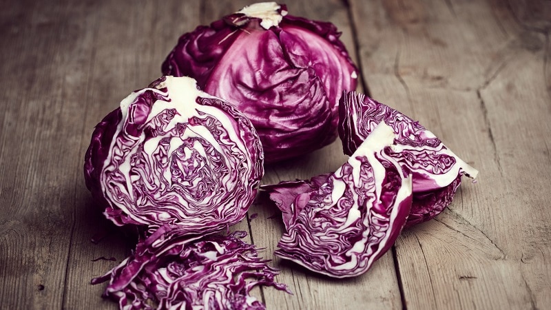 Red cabbage: description and cultivation features