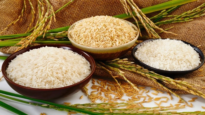 Is it possible to eat rice if you have pancreatitis?