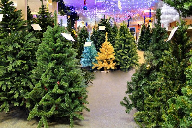 Which Christmas tree is better - artificial or live?