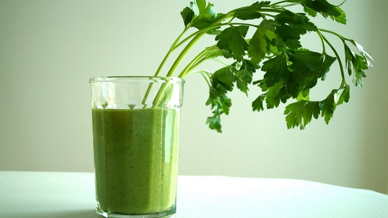 How to take parsley juice: benefits and harms for the human body