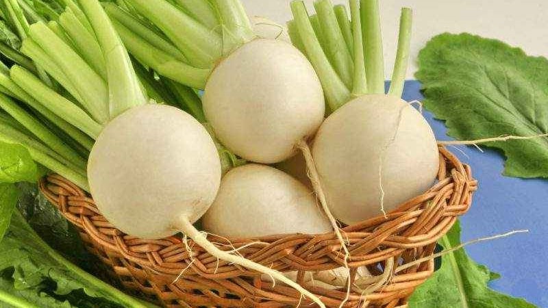 The benefits and possible harm of turnips for a woman’s body