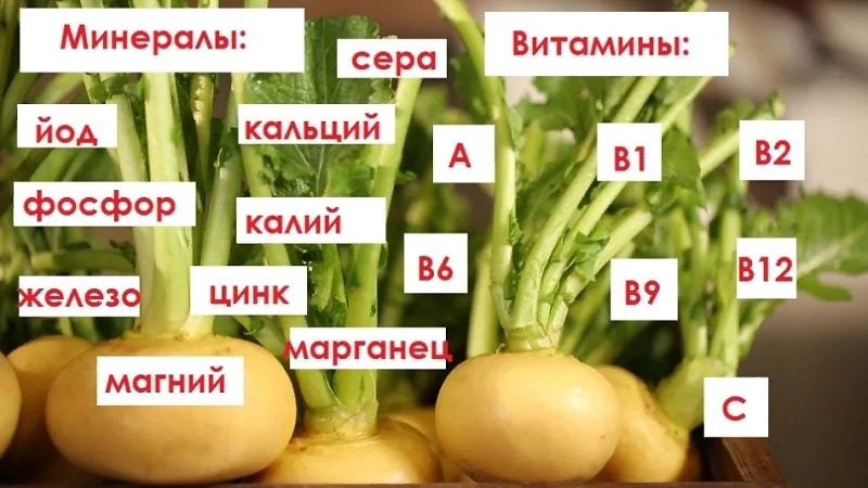 The benefits and possible harm of turnips for a woman’s body