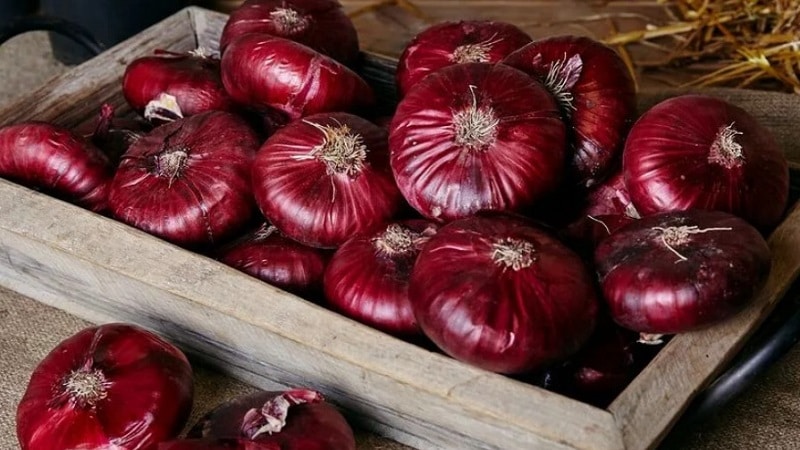 The benefits and harms of Crimean onions for the human body