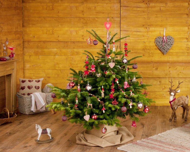 Which Christmas tree is better - artificial or live?