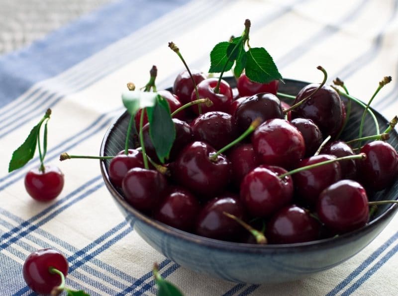 What to do if the cherry is wormy