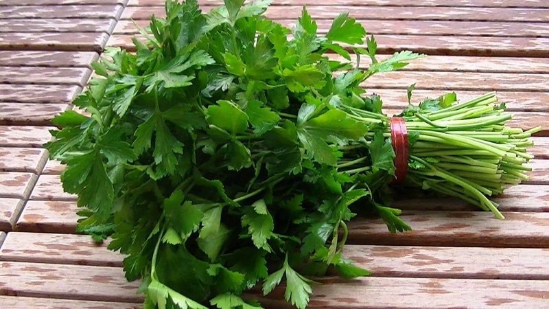 Is it possible to eat parsley while breastfeeding?