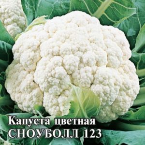 Description and photos of the best varieties of cauliflower