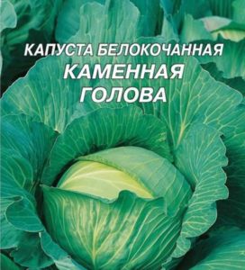 stone head cabbage
