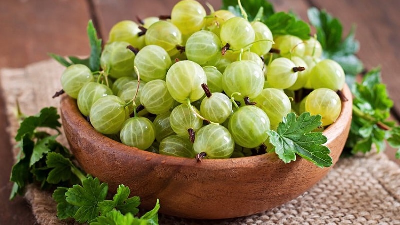 How many calories are royal berries and is it possible to eat gooseberries while losing weight?