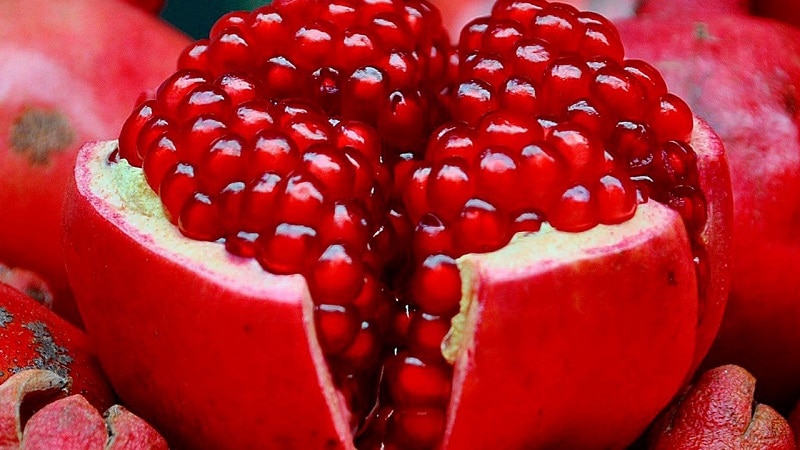 pomegranate fruit